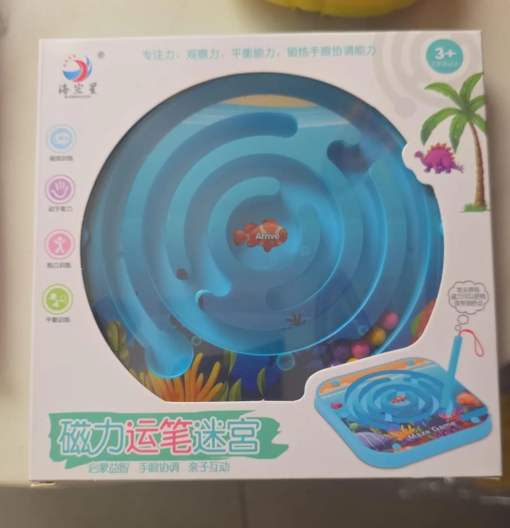 Magnetic Maze Puzzle Game