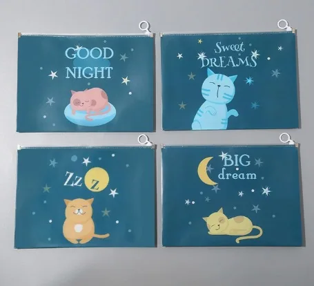 Zipper Pouch For Boys
